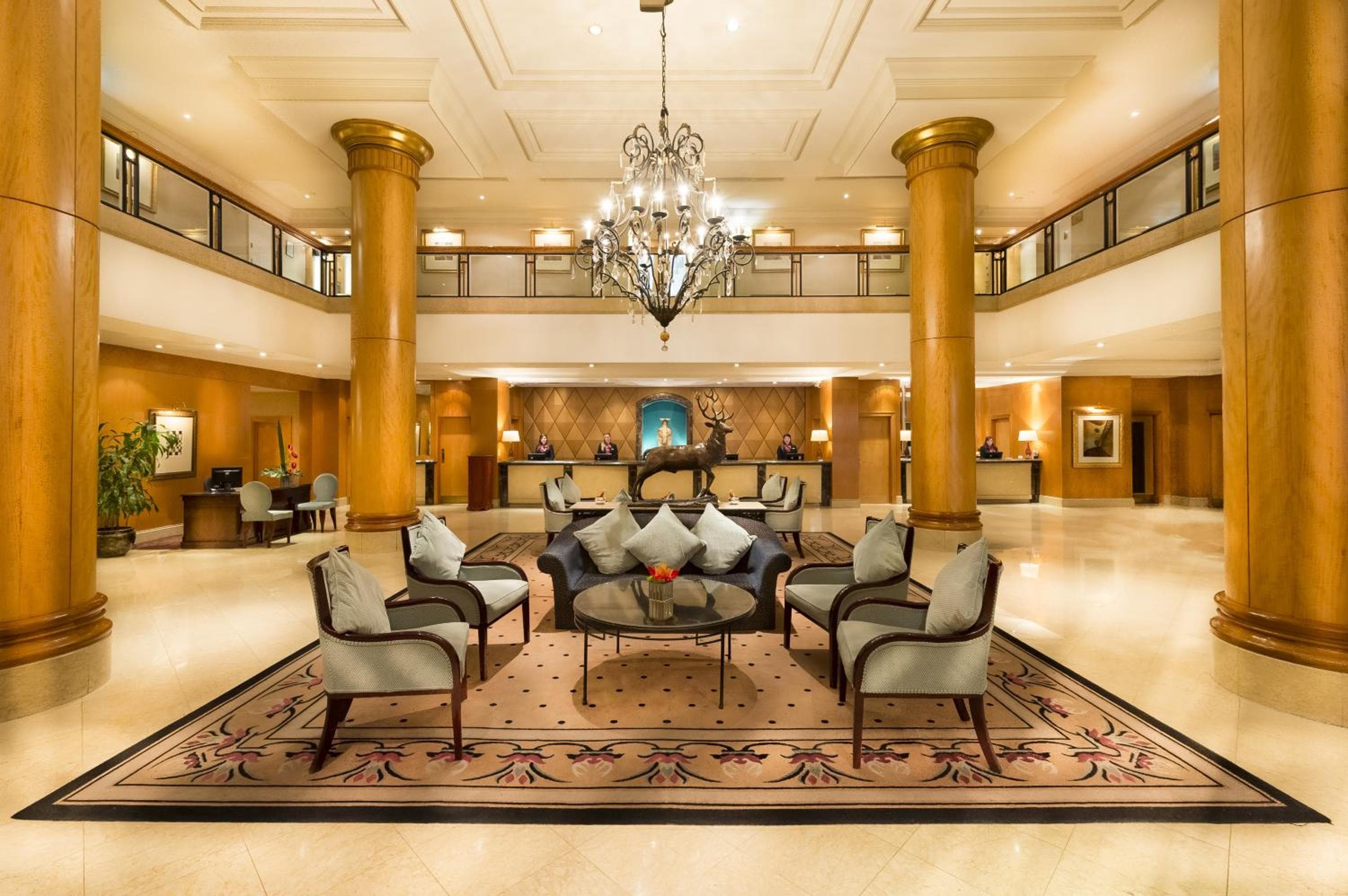 recepcion & lobby